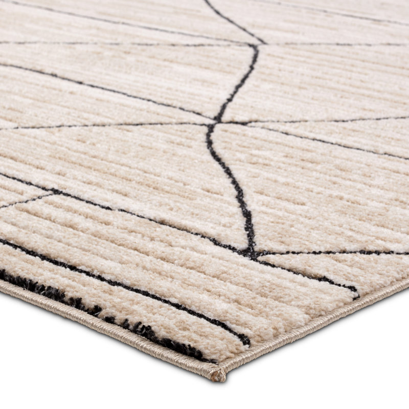 Eva Farhan EVA07 Moroccan Ivory/Black Area Rug (9'6"X13'6"), Rectangle 9'6" x 13'6"