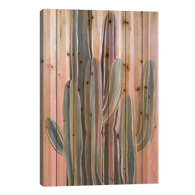 «Illinois Desert Dawn II On Wood» par Grace Popp, H 26 po x l 18 po x P 1,5 po