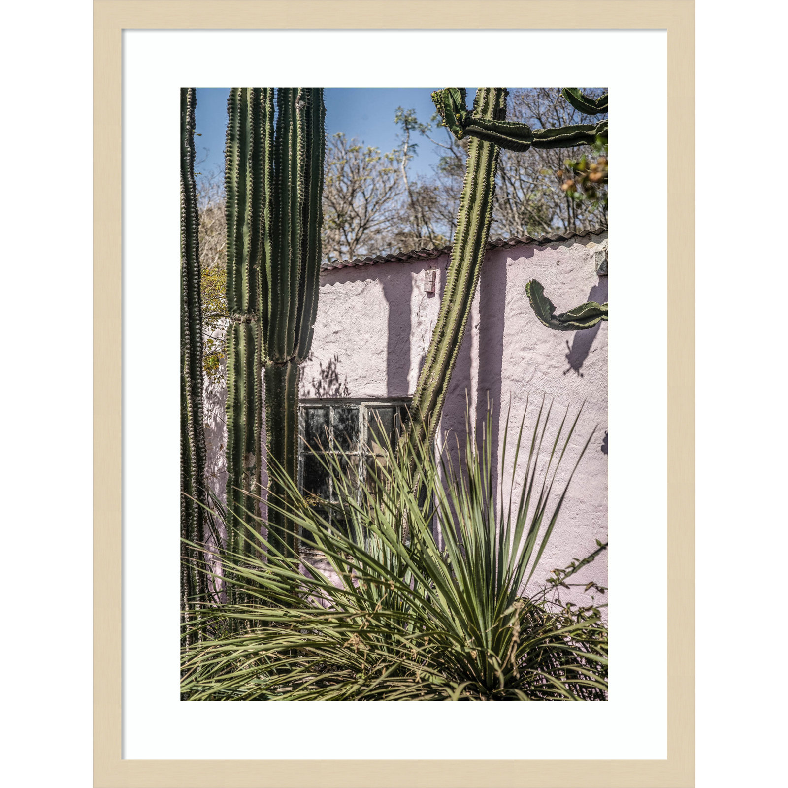 Plants On Pink by Shot by Clint Wood Framed Wall Art Print, Brown, 25" H x 19" W