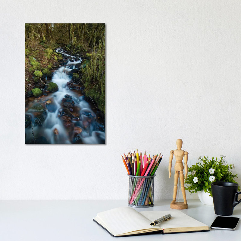 Stream In The Rainforest Near Alice Lake Provincial Park, Squamish, British Columbia, Canada by Kristin Piljay - Wrapped Canvas Print