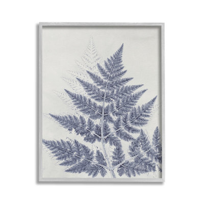 Bd-161_FG " Blue Fern Imprint Single Picture Frame " by Pernille Folcarelli on Canvas