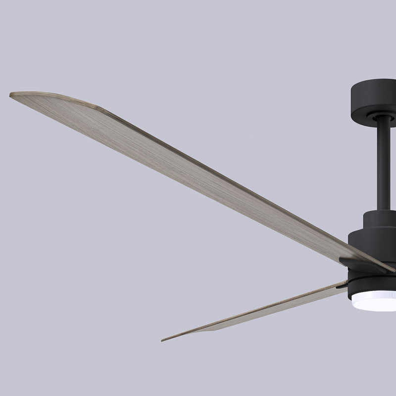 Ventilateur de plafond Alessandra, Ton bois de frêne gris, Noir mat, 72"