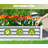 8X4X1 Ft Galvanized Raised Garden Bed-103830389