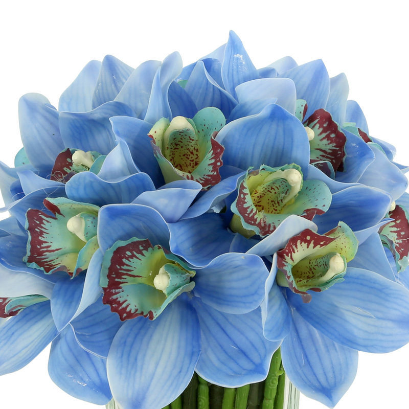 Orchid in Flat Glass Vase, Blue
