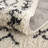 Adeen Shaggy Performance Tasseled Beige/Black Area Rug-2065492893