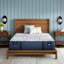Perfect Sleeper Pro Hampton Extra Firm 12.5" Latex Hybrid Mattress-1602823185