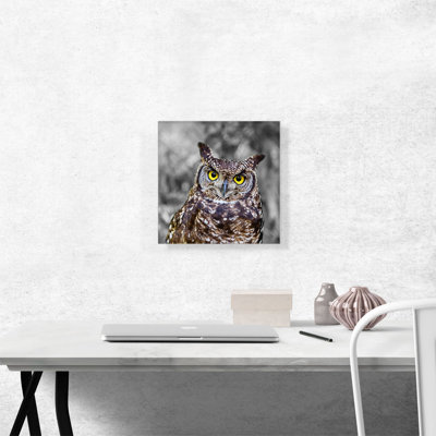 Brown Owl in Forest - Reproduction de photo sur toile tendue