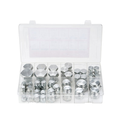 64-Piece BSPP Hydraulic Cap & Plug Assortment Kit - Galvanized Steel Fitting Adapter Set with Storage Case