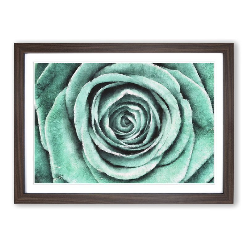 Mint Green Rose - Picture Frame Graphic Art Print, 62cm H x 87cm W x 2cm D, Walnut Framed