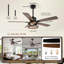 132 cm Ceiling Fan with Light Kit