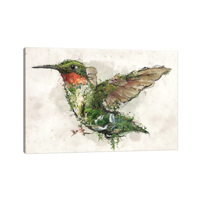 " Ruby Throated Hummingbird " by Barrett Biggers