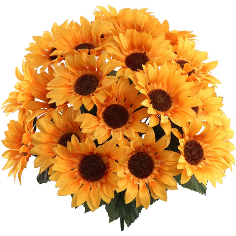 Buisson de tournesol 20 po - paquet de 2