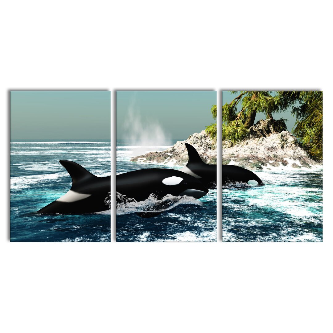 3-tlg. Leinwandbilder-Set Orcas vor Insel