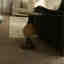 Photos des clients 1 de 3