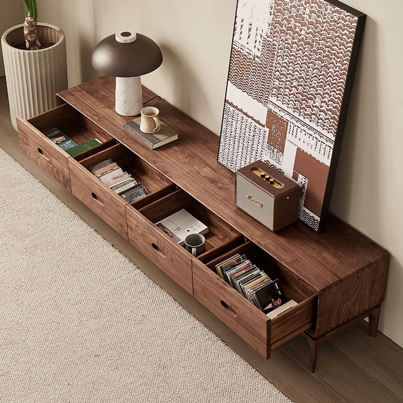 Meuble télé moderne en bois avec fonction de rangement