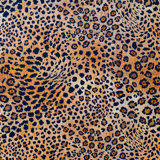 Ardmore Velvet Fabric