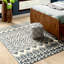 Tapis gris anthracite en laine / coton noué à la main Alimatou-1515899201