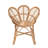 Briette 29.5'' Rattan Wide Armchair