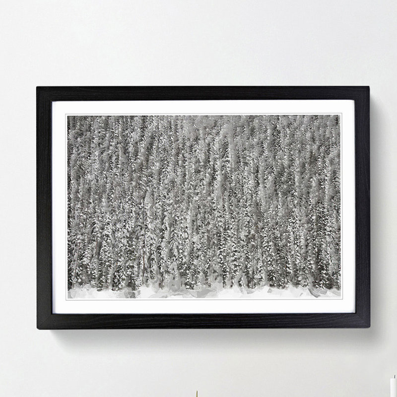 The Winter Forest in Canada in Abstract - Framed Print, Black, 40cm H x 60cm W x 2cm D