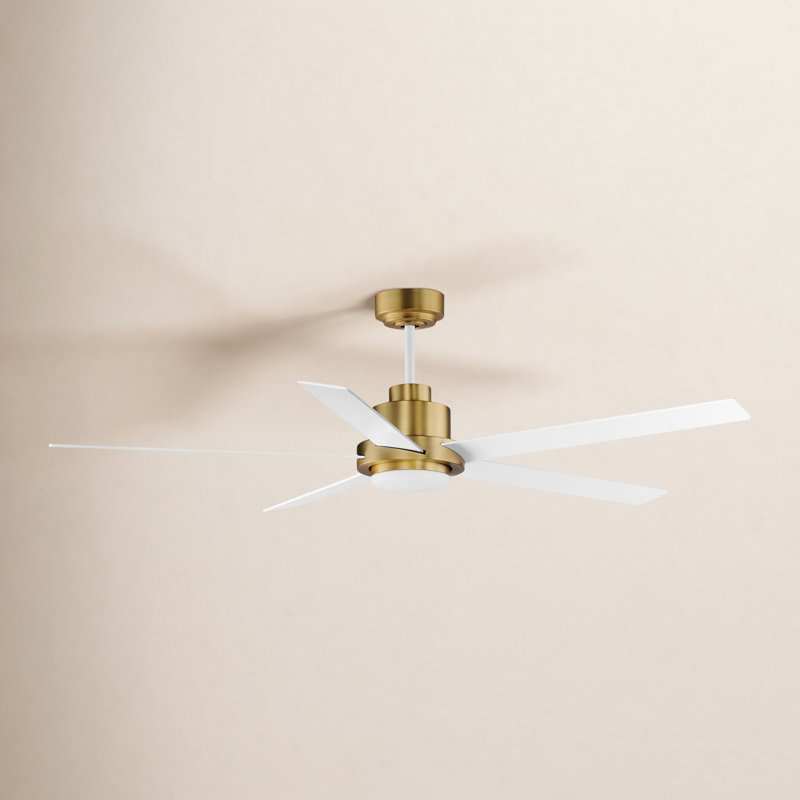 Isobel 60'' Ceiling Fan with LED Lights