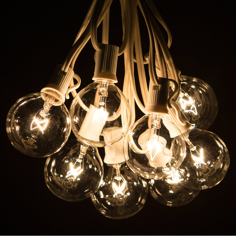 Guirlande d'extérieur de 50 ampoules mesurant 50 pi (pouvant être connectée d'un bout à l'autre) Blakesburg, Blanc