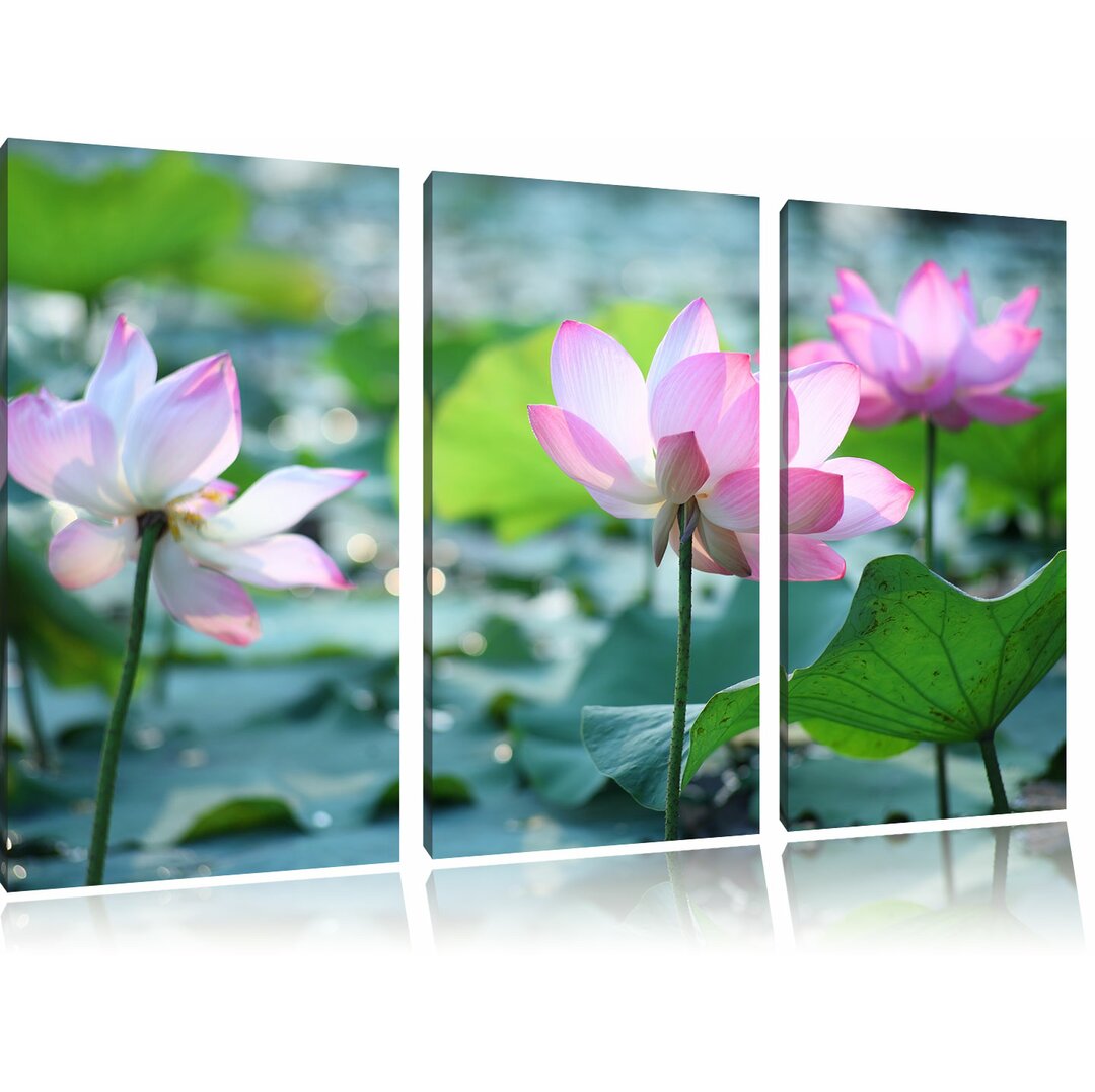 3-tlg. Leinwandbilder-Set Asiatische rosa Lotusblüte im Teich, Fotodruck