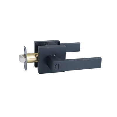 Karsen Door Lever with Karsen Rosette