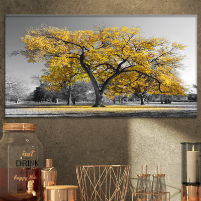 « big golden tree », reproduction de photo sur toile tendue