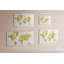 Magnetic Glass Dry Erase Board