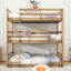 Lit superposé simple au-dessus de simple au-dessus de simple en bois avec fonction détachable et échelle-1936302492