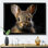 " Cute Rabbit Portrait "