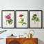 PrettyPinkBotanicalsI - Impression sur mesure encadrée de qualité supérieure - 3 pièces-19873960