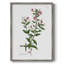Rose Botanical III, reproduction encadrée - bois massif 47459-1707745679