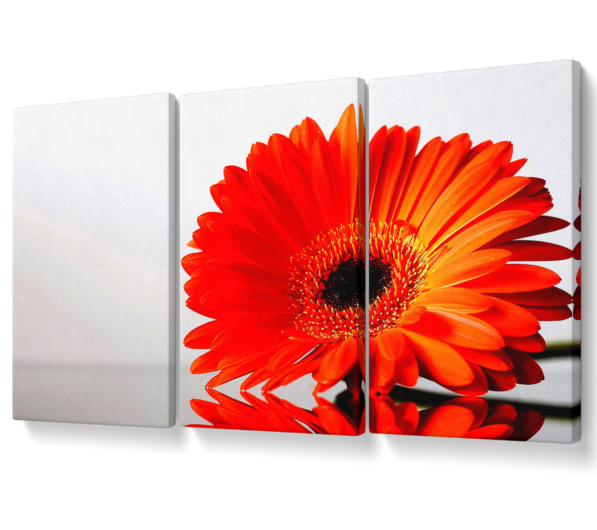 Ebern Designs Gerbera Daisies Reflection - 3 Piece Wrapped Canvas ...