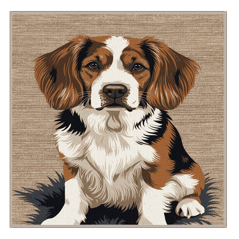  Tapis lavable pour chien Italiano Bracco, Carré 4 pi