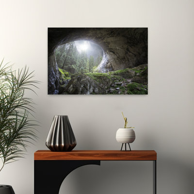 Art contemporain contemporain, pin, sapin, mousse, forêt, paysage