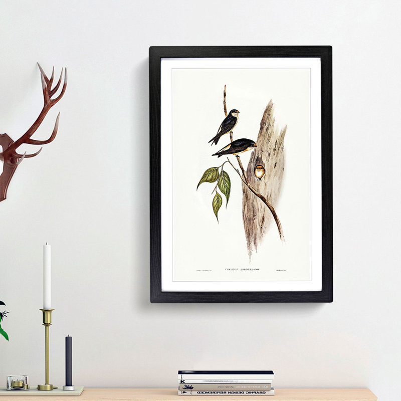 Tree Martins by Elizabeth Gould - Picture Frame Painting Print, 36cm H x 27cm W x 2cm D, Black Framed