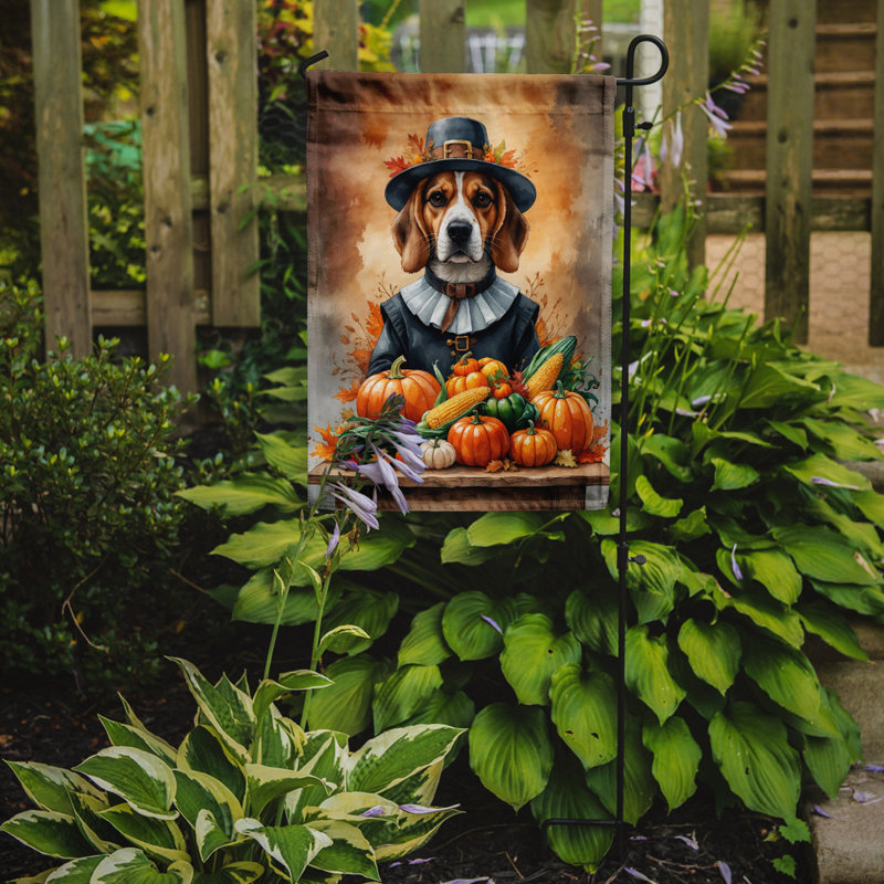 Drapeau du jardin de l'Action de grâce, Beagle