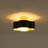 4 - Light Scalloped Shade Flower Drum Semi Flush Mount