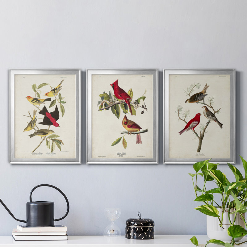 Pl 354 Louisiana Tanager - Ensemble de 3 impressions encadrées sur toile, H 22,5 po x l 91,5 po x P 1,5 po, Argent
