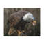 No Frame Print on Canvas-1542498507