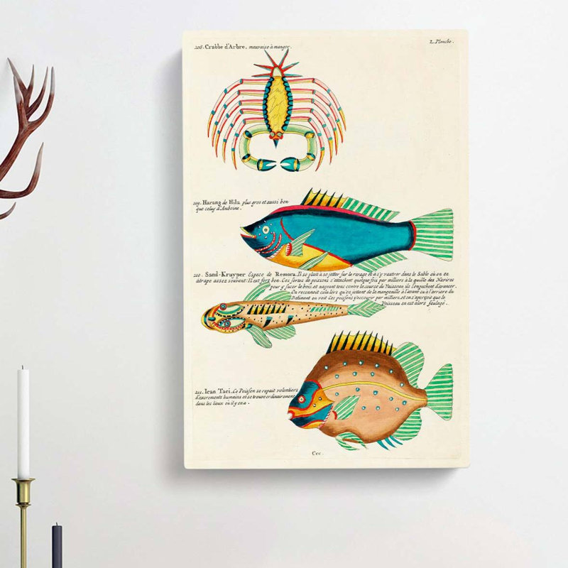 East Indies Fish & Crab Illustrations L by Tawaraya Sotatsu - Wrapped Canvas, 60cm H x 40cm W x 3cm D