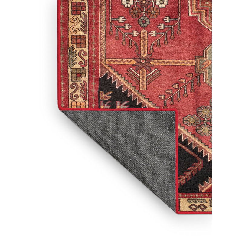 Cardonaghy Oriental Indoor Rug, Rectangle 3' x 5'