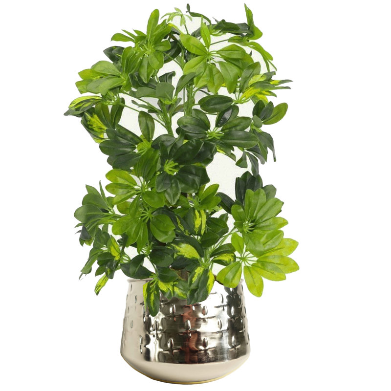 Handmade Metal Cachepot