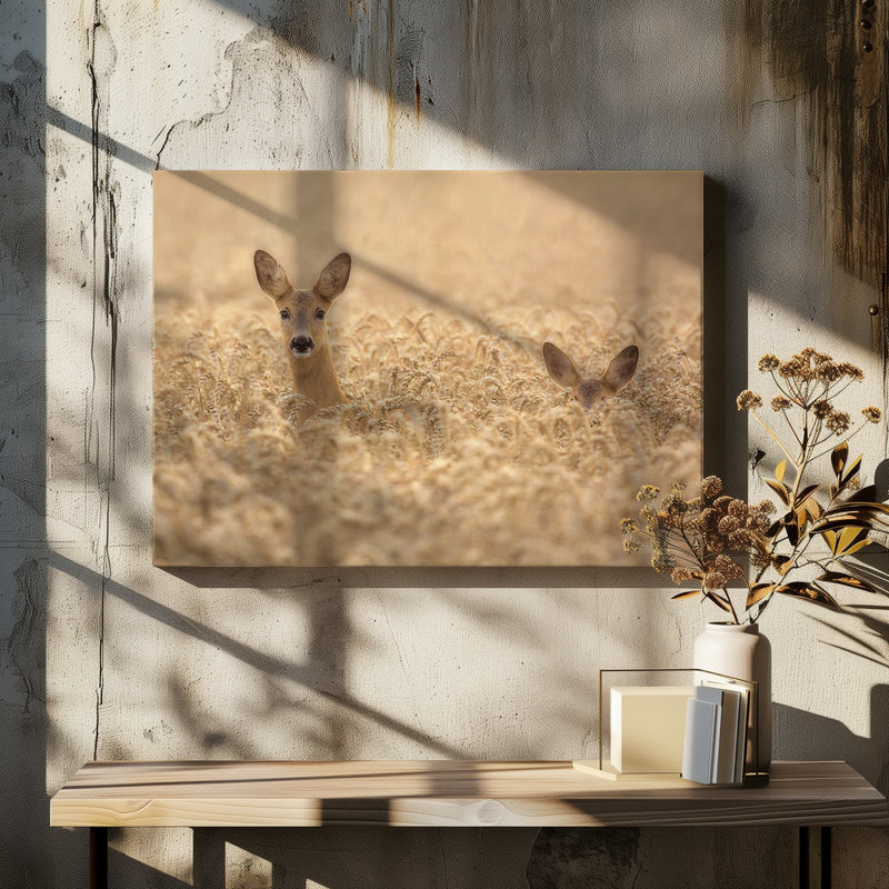 Wrapped Canvas Print, 50.8 cm H x 76.2 cm W