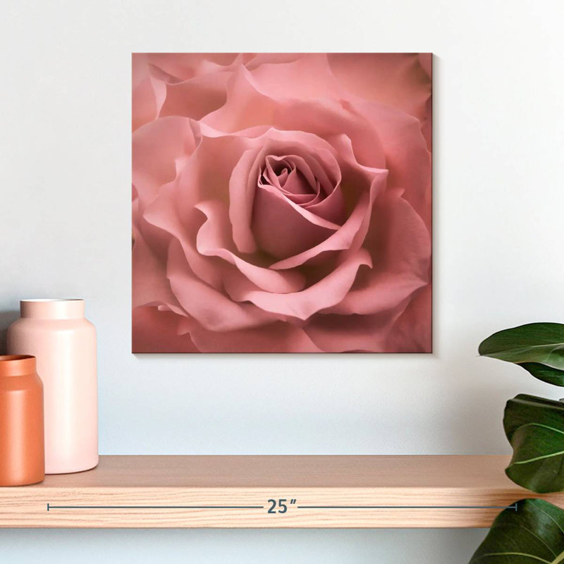Rose brumeux Harnek, H 16 po x l 16 po