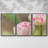 " Blush " 3 - Pieces-1474607004-1474607005
