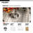 Elite 23.19'' L Single Bowl Stainless Steel Kitchen Sink
