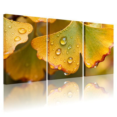 Feuille de ginkgo avec gouttes de rosée, photographie sur toile tendue sur toile, ensemble de 3 pour salon, chambre à coucher, décoration intérieure