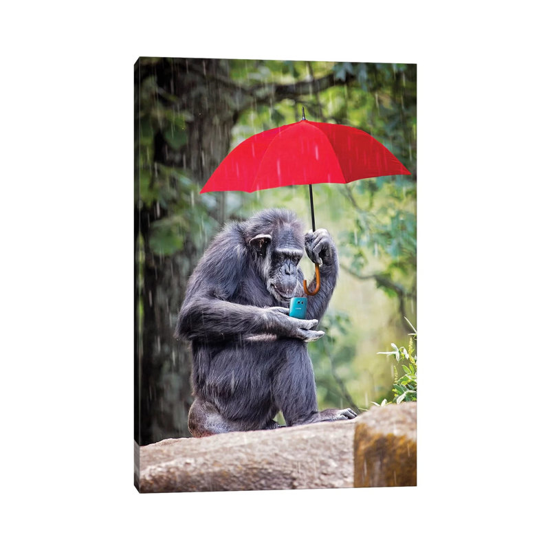 Chimp Staying Connected by Karen Burke - Wrapped Canvas Print
